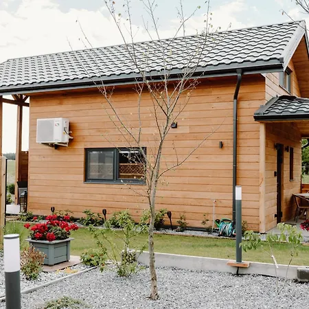 Regielskie Holiday home