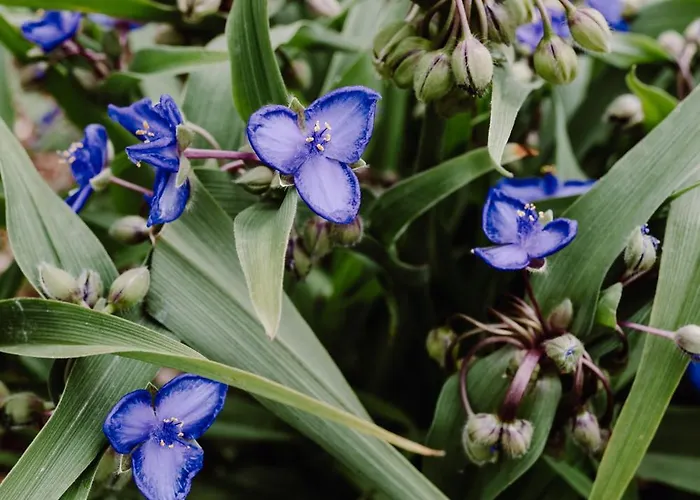 Regielskie 度假居 Regiel